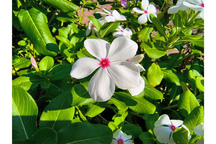 ԂtʓxARgXgiTuJF}N1{j