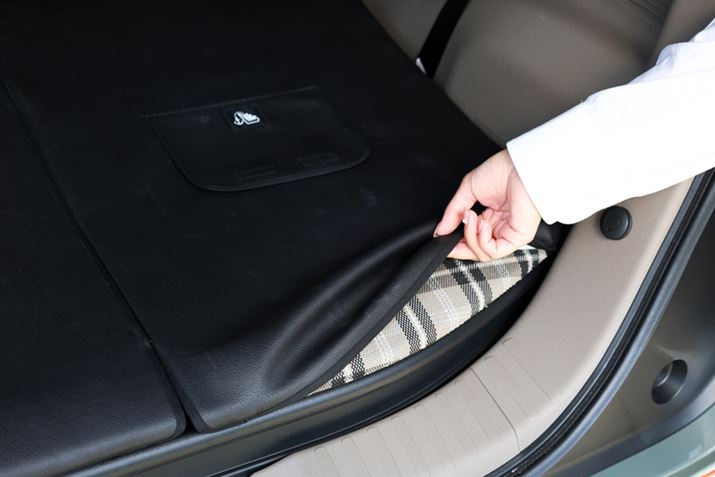 ׎Ȃǂ։ꂽ̂uƂɁAꂪCɂȂȂuJ[SCi[v𗘗p