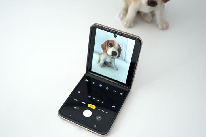 ufXNgbvX^Cv̈BJNƁA㔼Ƀvr[Aɑpl\