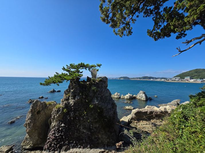 ̑N₩ۓIB\}ӂ̉掿͂◬Ă