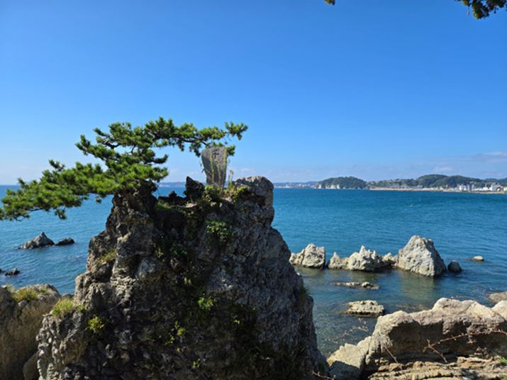 [݂̂ƊC̐F͒LpJƓꊴB𑜊ǍD