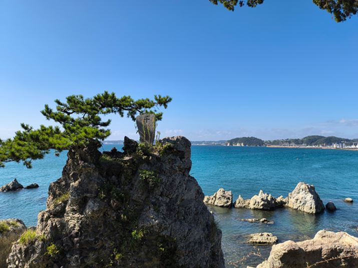 LpJƏۂقȂA莩RȈۂB𑜊AmCY͗}Ă