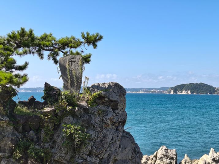 L̃mCY͗}ĂϋɓIɎg掿