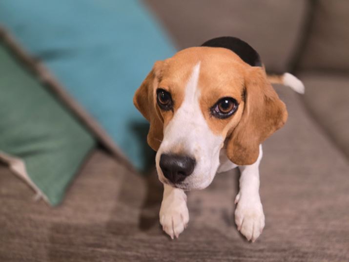 wiڂu|[g[gv[hBsg킹镔Ƃڂ̗֊s̔ɕsR͌Ȃ