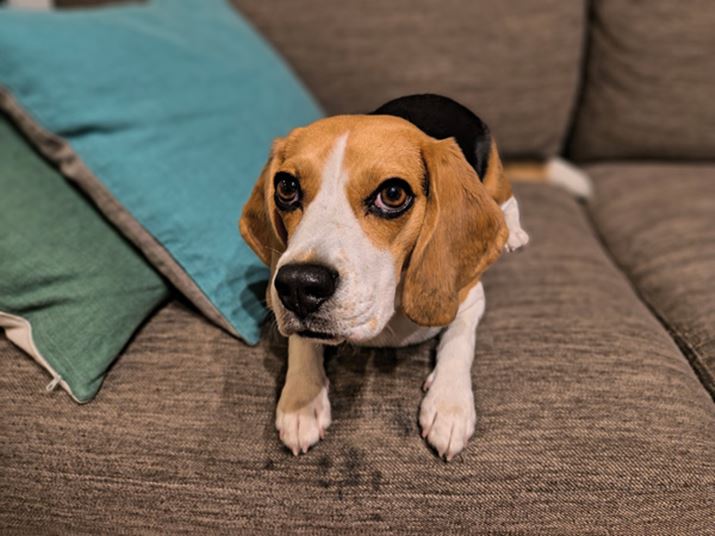 ѕ݂̎悭cĂB֊sâȂ̂