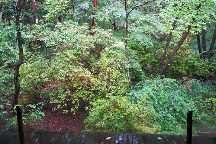 eCXeBO[1ʂׂ͂đKXɂȂĂāA{ݎӂ̖Lȗ΂𒭂߂ȂAECXL[킦܂