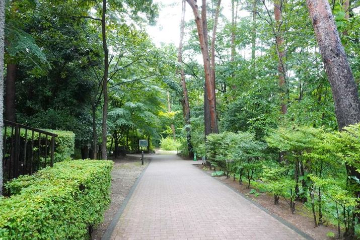 X̒ĔB̉ցI {ݓ͕ĂAXїy߂܂