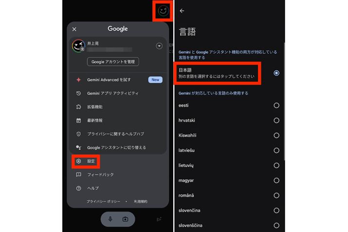 uGoogle GeminivAvŁAẼAJEgACR^bvAuݒvIBu{vƏĂ镔^bvāAݒ茾EnglishiUnited StatesjɕύX悤