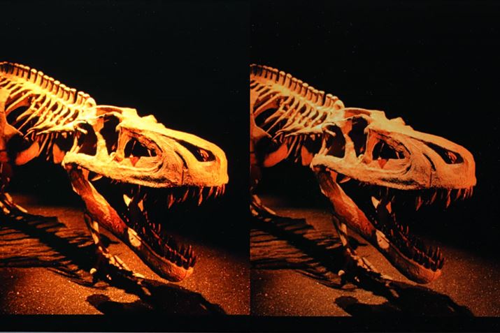 FL@ELfAEFtfBÍʂƎL@ELf炩ɗLB邢ꏊ͂薾邭AfBe[ׂ`ʂĂ܂