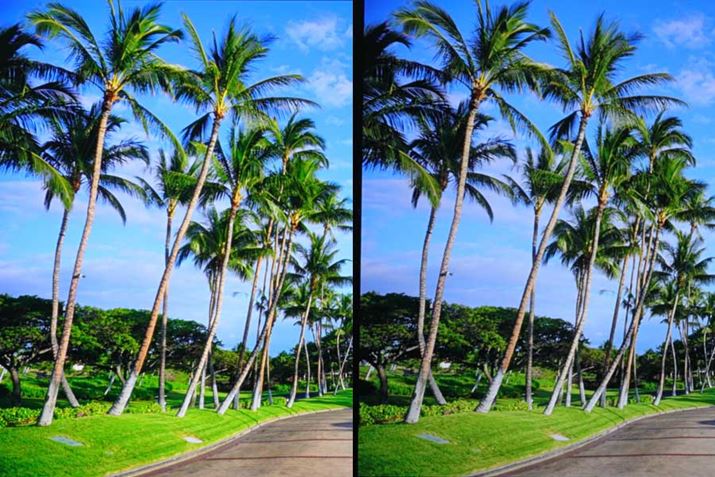 FL@ELfAEFtfBL@ELf͐̐F̈Ⴂ\łĂ邪tf͑ŜɂׂƂۂɁBŐt̐FL@ELf̂ق΂N₩ɕ`ʁBtf͉ƂȂŜ݂Ă܂Ă܂