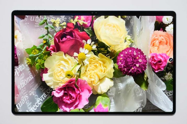 L@ELpl͍LF悪BKLɉ摜\ł܂