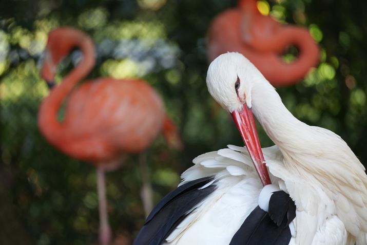 VLOGCAM ZV-E10 IIAE 70-350mm F4.5-6.3 G OSSA350mmi35mmZ525mmjAF6.3A1/125bAISO800AzCgoXFI[gANGCeBubNFSTBeʐ^i6192×4128A14.9MBj