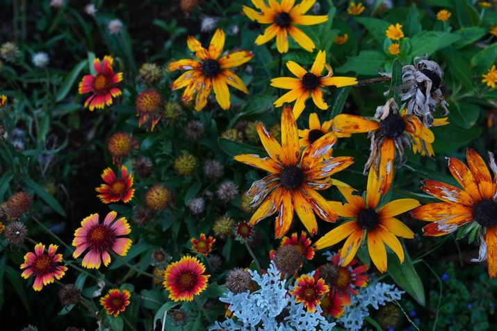 VLOGCAM ZV-E10 IIAE 16-55mm F2.8 GA55mmi35mmZ82.5mmjAF5.6A1/125bAISO400AzCgoXFI[gANGCeBubNFVVBeʐ^i6192×4128A17.5MBj