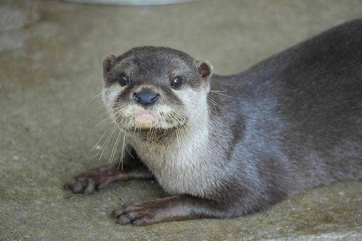 VLOGCAM ZV-E10 IIAE 70-350mm F4.5-6.3 G OSSA317mmi35mmZ458mmjAF6.3A1/125bAISO800AzCgoXFI[gANGCeBubNFSTBeʐ^i6192×4128A15.6MBj