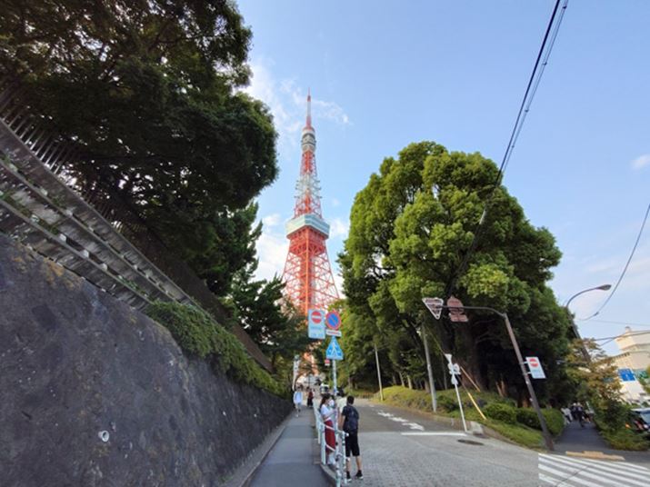 LpJŎBeBA[̎RȐFoĂ܂