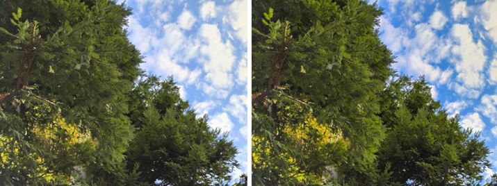 ̍́uPhotoshop Express[hvgpȂԁAE͎gṕB̑N₩A؂̖邳Ă邱Ƃ킩܂