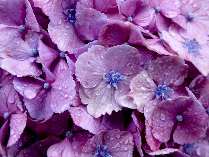 TG-7AF2.8A1/50bAISO200AzCgoXFI[g