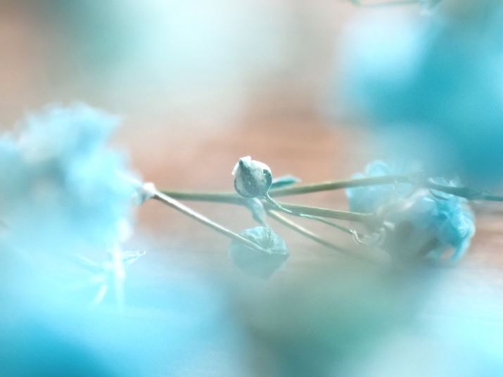 TG-7AF4.9A1/80bAISO1600A+1.3EVAzCgoXFI[g