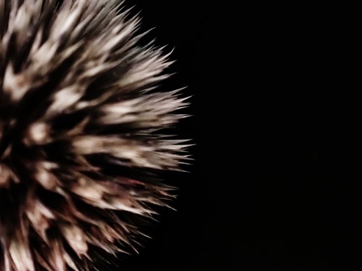 TG-7AF14A1/100bAISO1600A+2.0EVAzCgoXFI[gAA[gtB^[Fu[`oCpX