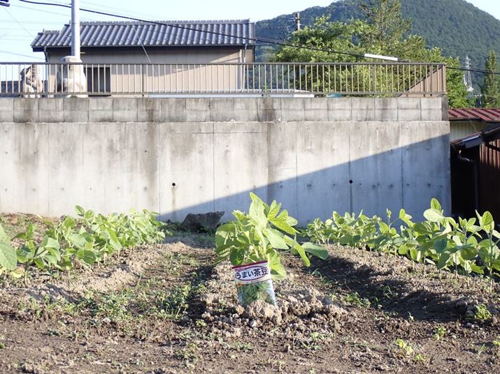 iCXȃl[~O̎}TG-7AF4.1A1/160bAISO100A+0.7EVAzCgoXFI[g