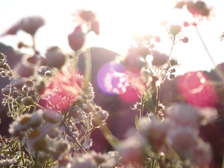 TG-7AF4.9A1/500bAISO100A+0.3EVAzCgoXFI[g