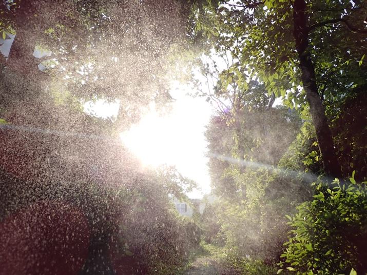 TG-7AF2.8A1/500bAISO100A+0.3EVAzCgoXFI[g