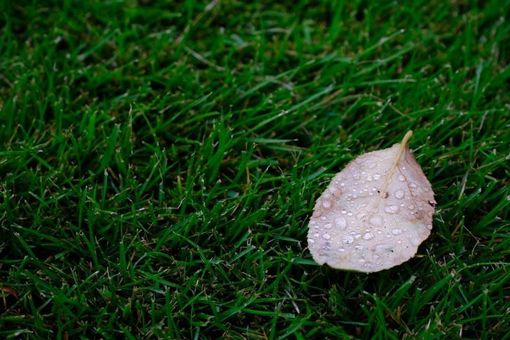 X-M5AXC15-45mmF3.5-5.6 OIS PZA45mmi35mmZ69mmjAF6.4A1/40bAISO160A-0.7EVAzCgoXFI[gAtBV~[VFVelvia/rrbhAJPEGBeʐ^i6240×4160A13.6MBj