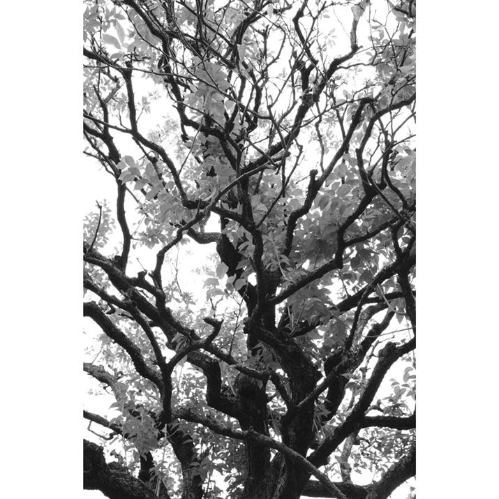 X-M5AXC15-45mmF3.5-5.6 OIS PZA28mmi35mmZ43mmjAF8A1/80bAISO1600A+2.0EVAzCgoXFI[gAtBV~[VFACROSAOCEGtFNgFx-/x-AJPEGBeʐ^i4160×6240A16.4MBj