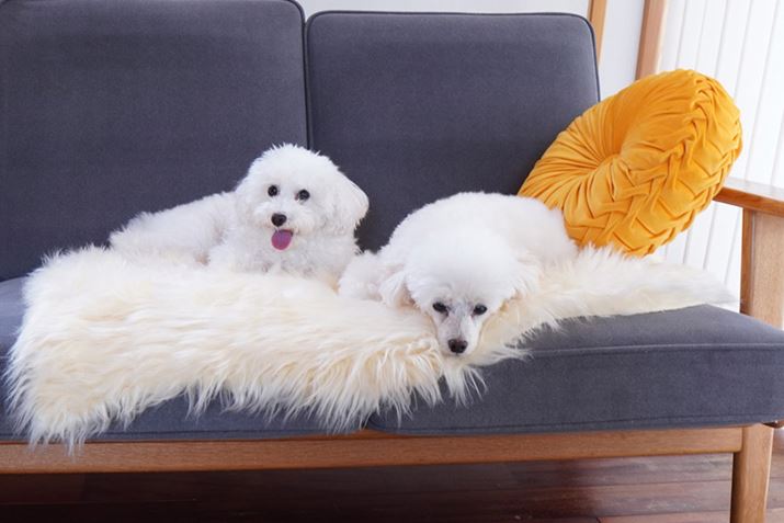 \t@Ƀ[guƂ̂ŁA\t@̖ыʂƃ[g̖ѕ݂ƁAɂꂪłđ喞ł