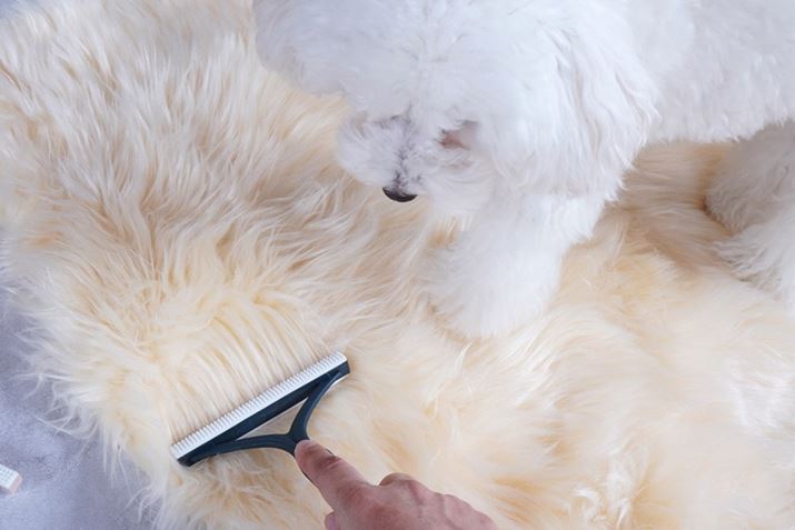 ܂Ń[gp̃uVKvƎvĂ܂AыʎŃubVOłĈΓ񒹁I