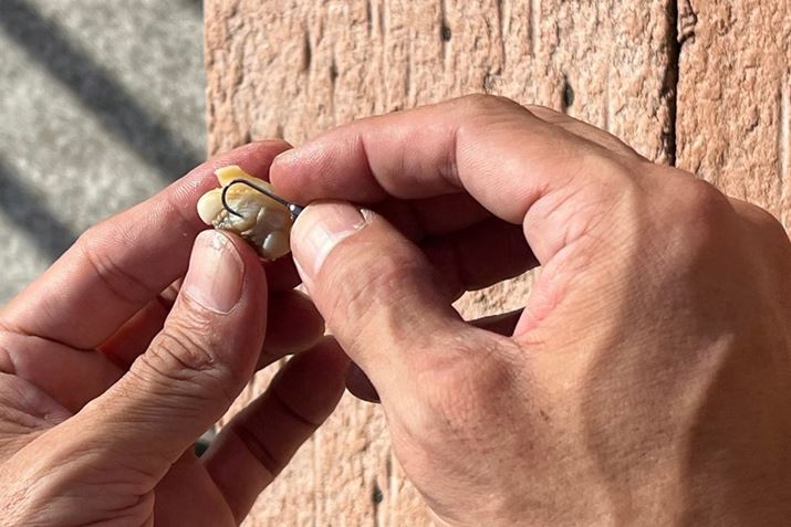 GT̕t͎搅ǂxȂǂ̍dƂ납hA炩Ĕ^̕ɐjB̂|Cgł