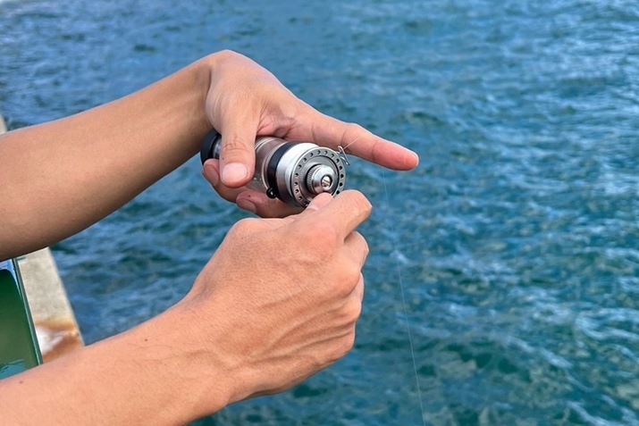 4̃Ił΁Aƒ悤ɂȂ܂BlwŎRg[Ƃ悳ł