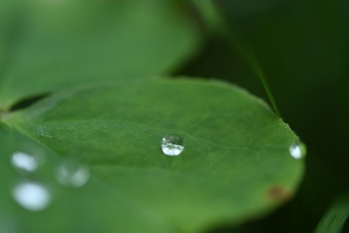 Z6IIIA90mm F/2.8 Di III MACRO VXDAF6.3A1/100bAISO800A-0.3EVAWBFܓVAsN`[Rg[FX^_[hBeʐ^i4032×6048A8.8MBj