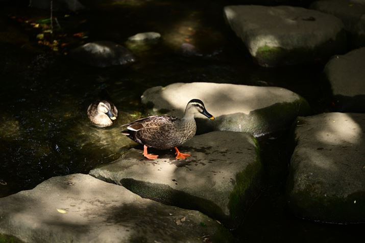 Z6IIIA90mm F/2.8 Di III MACRO VXDAF2.8A1/320bAISO100AWBFVAsN`[Rg[FrrbhBeʐ^i4032×6048A10.2MBj