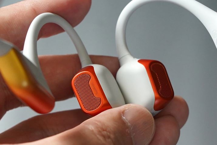 傫ȂhCo[ɂāA蔗͂TEhɐi