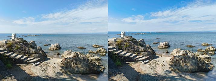 ́uR[hvAۂɌ̂ɋ߂i`ȐFŎʂBÉuN[hvAƊC̐ZȂB gfh ߂lɓKĂ