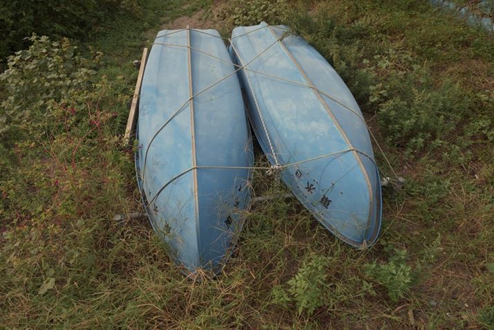 Z6IIIANIKKOR Z 24-120mm f/4 SA24mmAF5.6A1/1600bAISO400A-0.7EVAWBF8000KAsN`[Rg[FIWĩJX^sN`[Rg[Beʐ^i6048×4032A15.8MBj