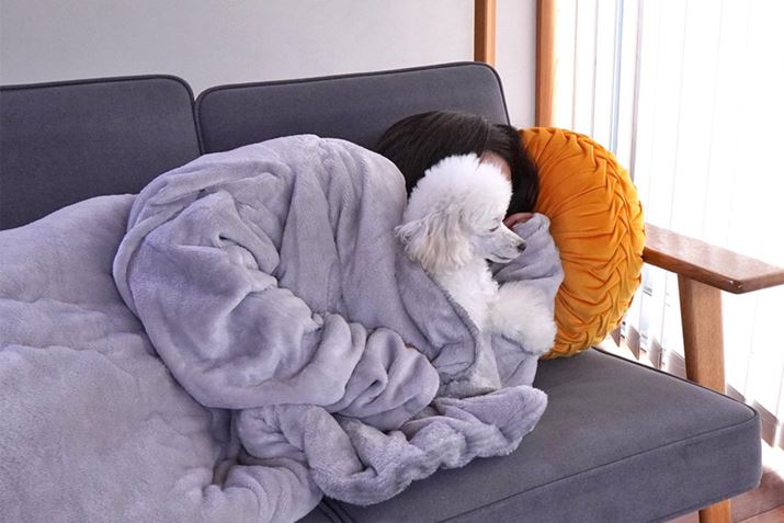 ǂۂ肭܂Ă]T̑傫I ꏏɂʂʂ~߂ł