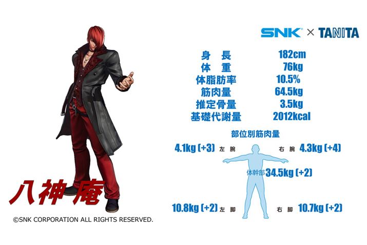 ㋞̃Coł锪_B^j^̌ɂƁAƂقƂǓ̑gAؓʂɍAvCX^CEr̋ؓʂ