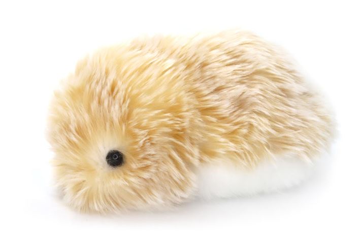 ttAӂӂ̖ыʌ^AIybg{bgutviJVIj