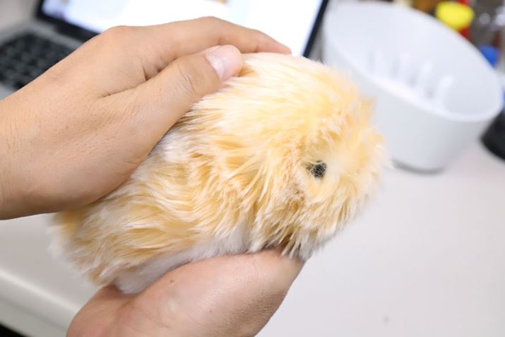 ̂Ђɏ悹Ă킢̂ɃWXgȃTCY