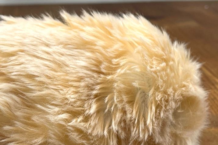 iCt@[͎CƎG肪SSɁB͂ƉƂĂقI