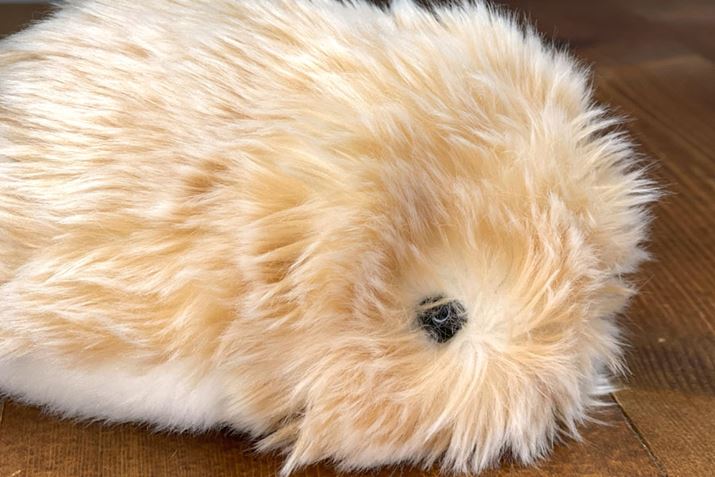 utṽVvȖځBтɖꂿႤ̂킢