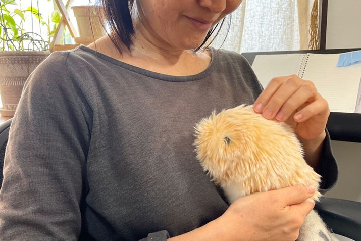 LK`̉u΂ƂĔL̗͂ȂA̎q肩ccvƁAƋCɓlq