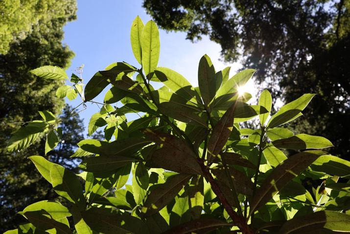 EOS R8ARF24-50mm F4.5-6.3 IS STMA27mmAV[CeWFgI[gAF8A1/160bAISO100