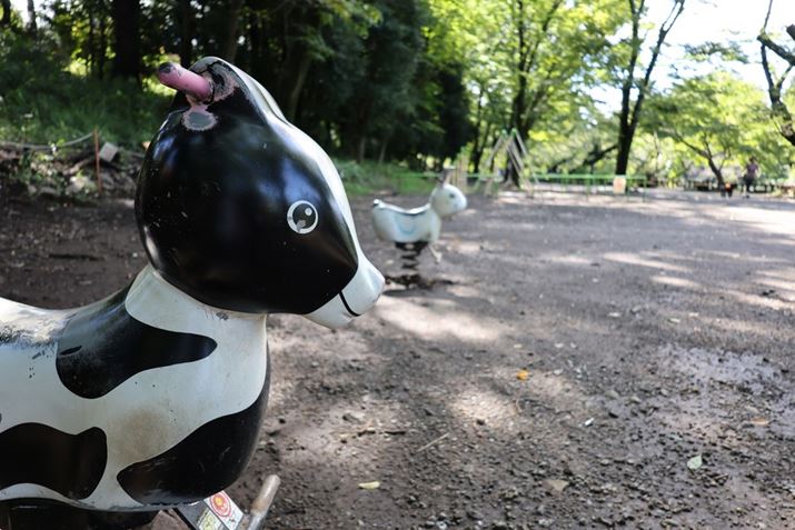 EOS R8ARF24-50mm F4.5-6.3 IS STMA24mmAV[CeWFgI[gAF4.5A1/320bAISO800