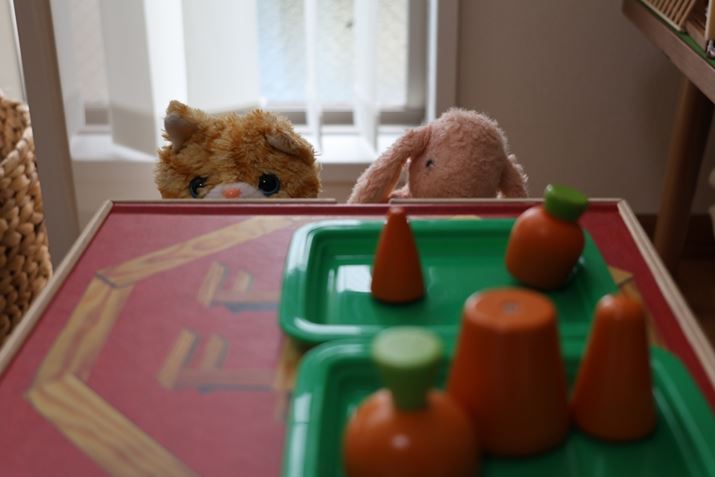 EOS R8ARF24-50mm F4.5-6.3 IS STMA50mmAV[CeWFgI[gAF6.3A1/100bAISO400