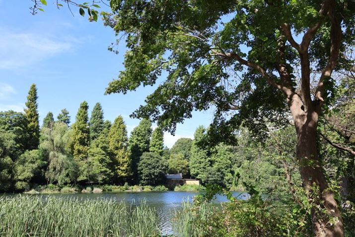 EOS R8ARF24-50mm F4.5-6.3 IS STMA35mmAV[CeWFgI[gAF11A1/100bAISO160Awiڂi+5j