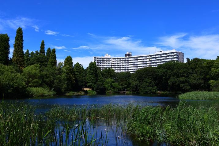 EOS R8ARF24-50mm F4.5-6.3 IS STMA37mmAV[CeWFgI[gAF11A1/320bAISO100A邳i-3jARgXgi+3jAN₩i+3jAF1i-5j