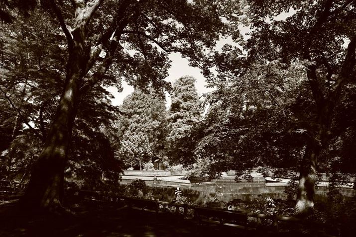 EOS R8ARF24-50mm F4.5-6.3 IS STMA24mmAV[CeWFgI[gAF11A1/80bAISO125Awiڂi+5jA邳i-2jARgXgi+3jAmNiZsAj